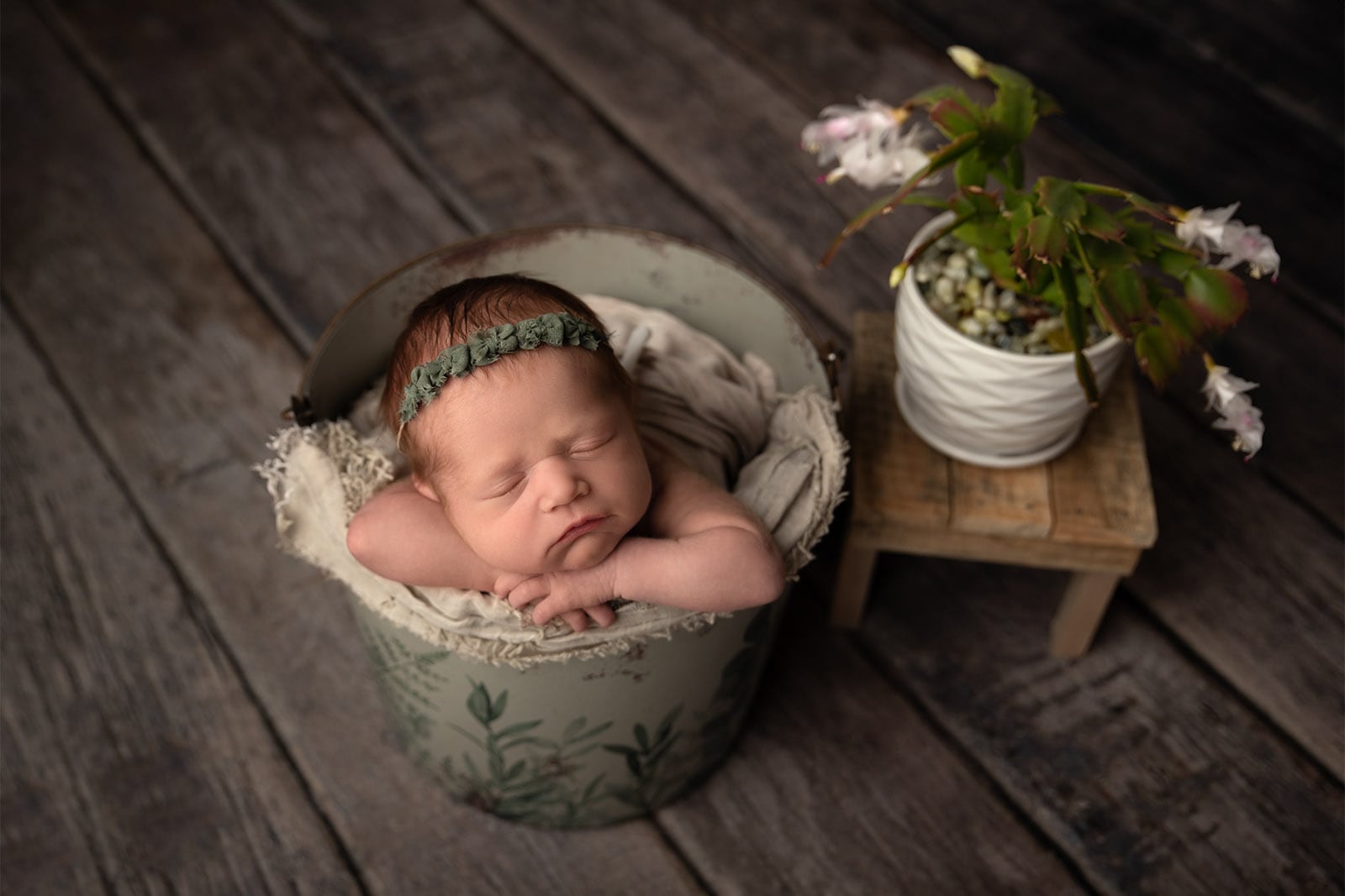 bismarck newborn photographer baby bucket plants
