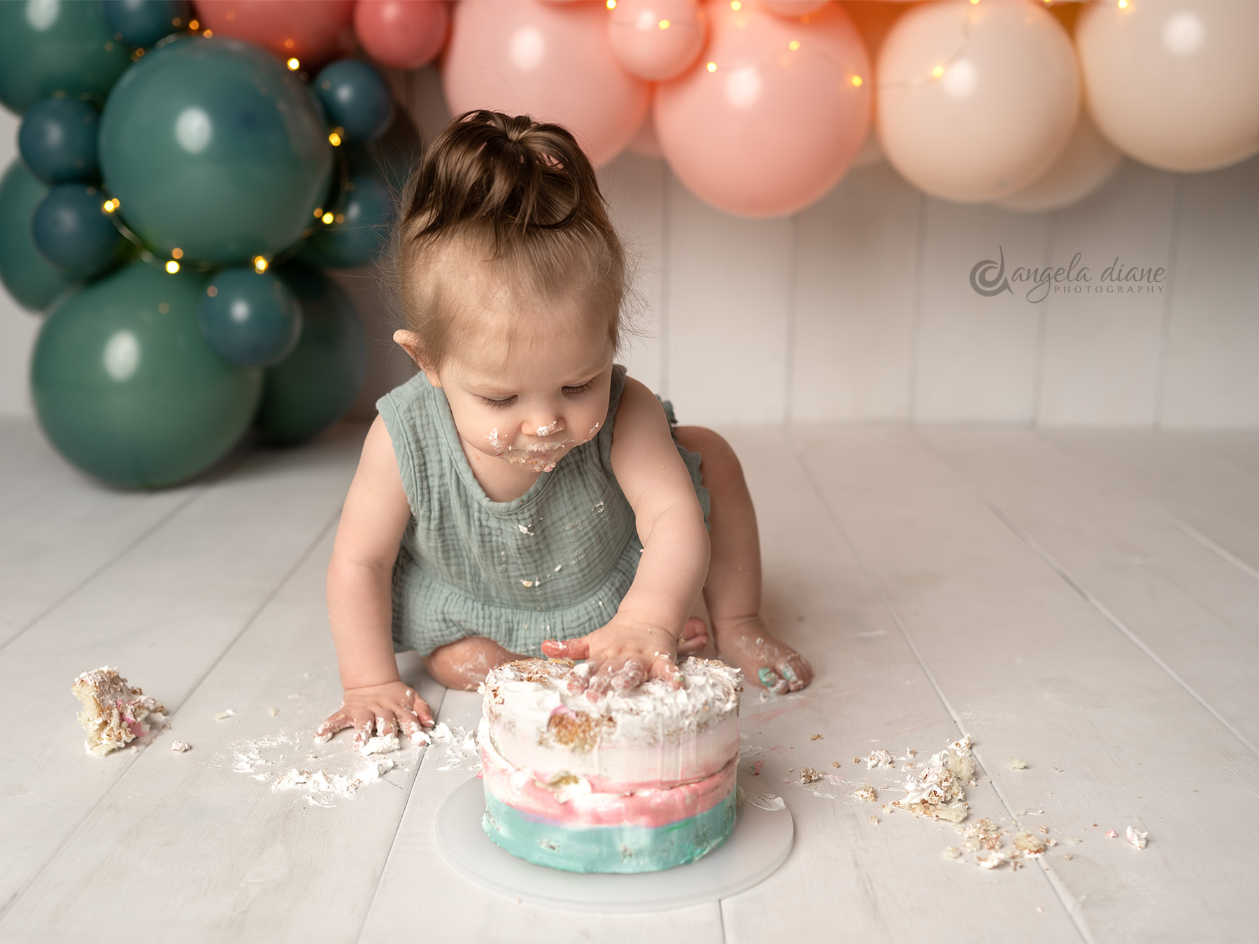 first birthday photography session