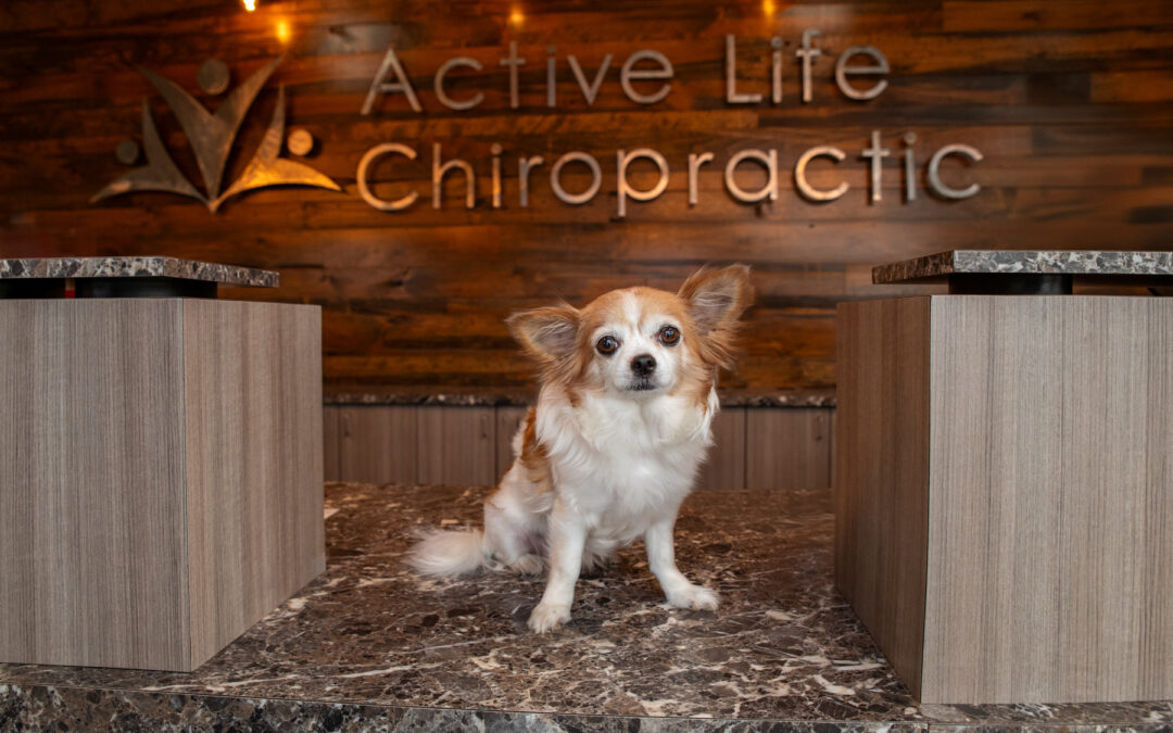 Active Life Chiropractic in Bismarck, ND